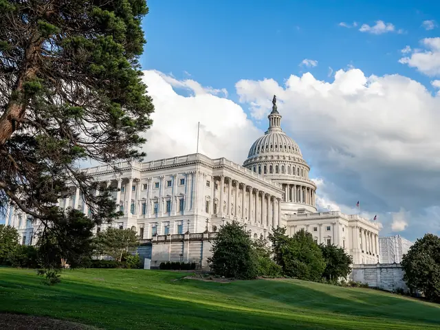 Capitolio de Estados Unidos en Washington D. C.